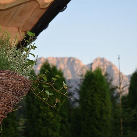 Villa Fiedorowka Zakopane Exterior foto