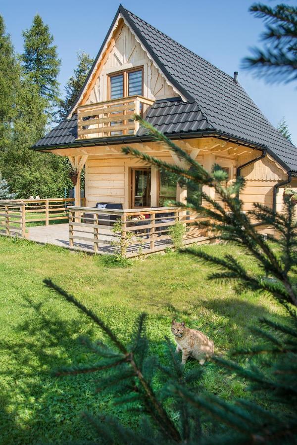 Villa Fiedorowka Zakopane Exterior foto