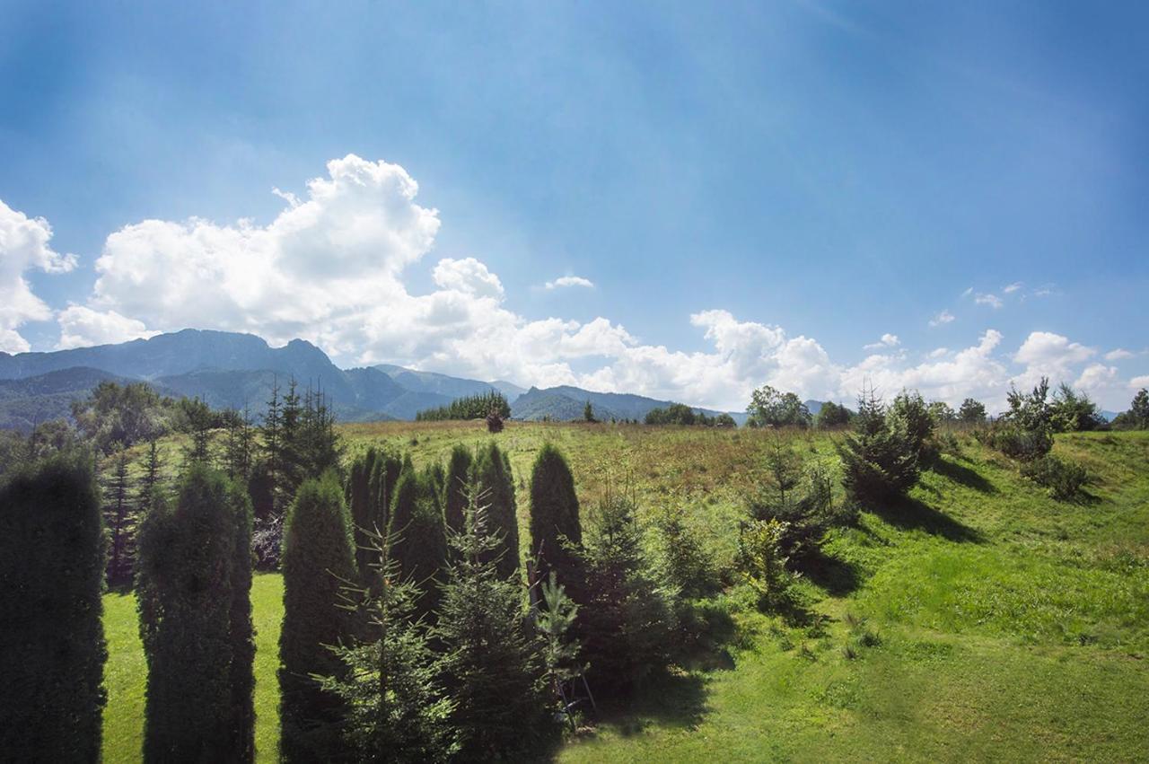 Villa Fiedorowka Zakopane Exterior foto